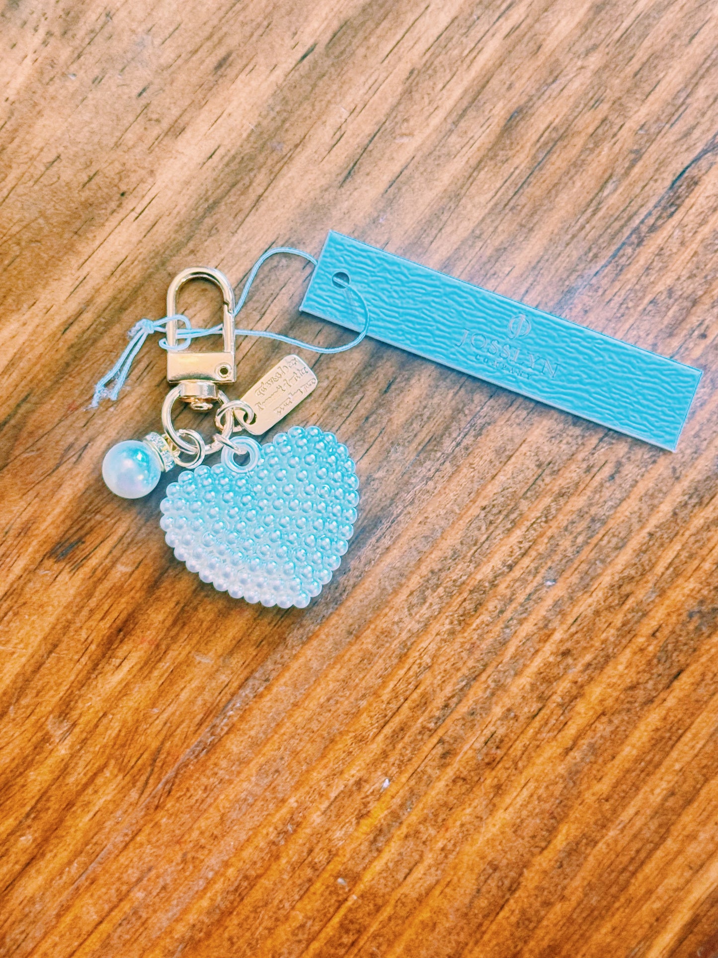 Clip On Keychain Charm